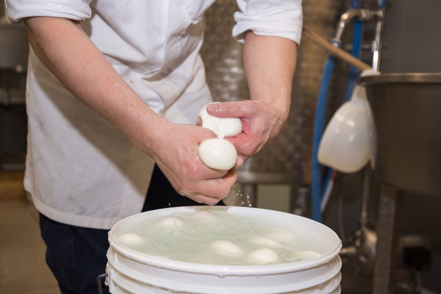 bocconcini-mozzarella