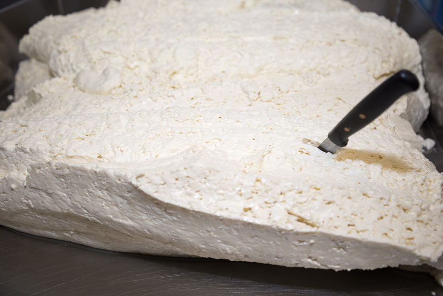 caiata-mozzarella